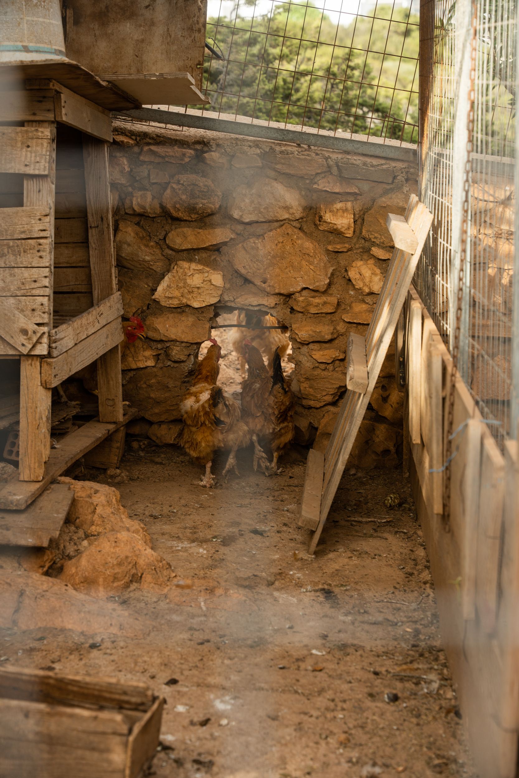 Villa Makria Miti North