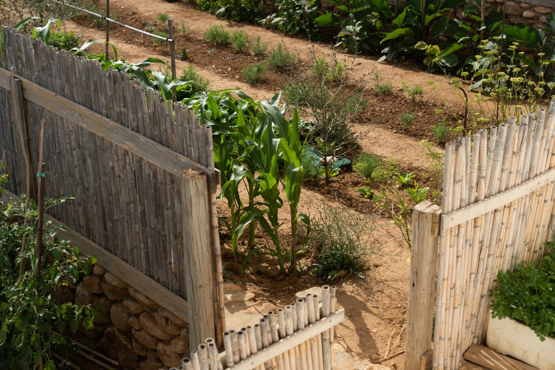 Villa Makria Miti North