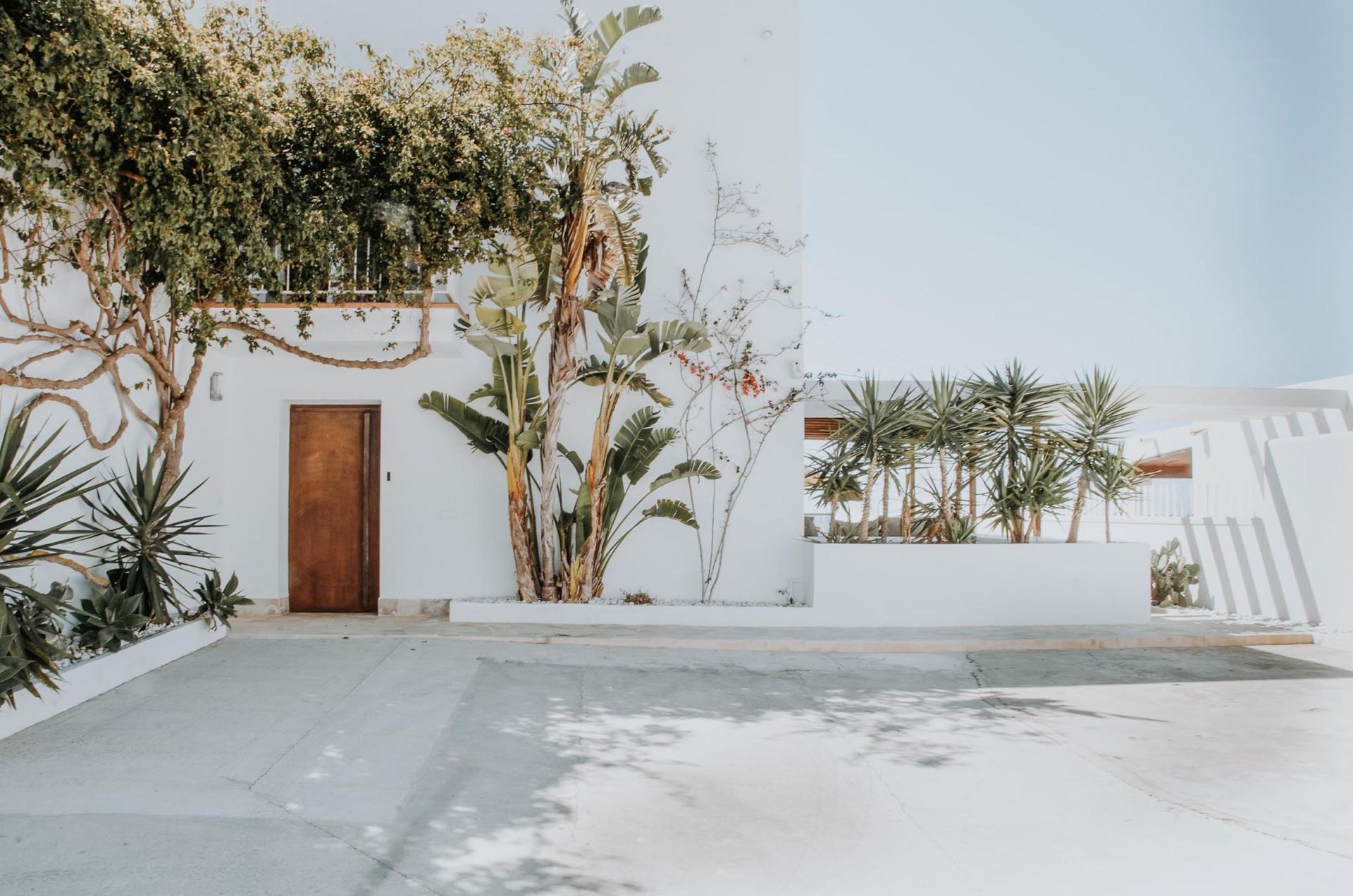 Casa Savanha