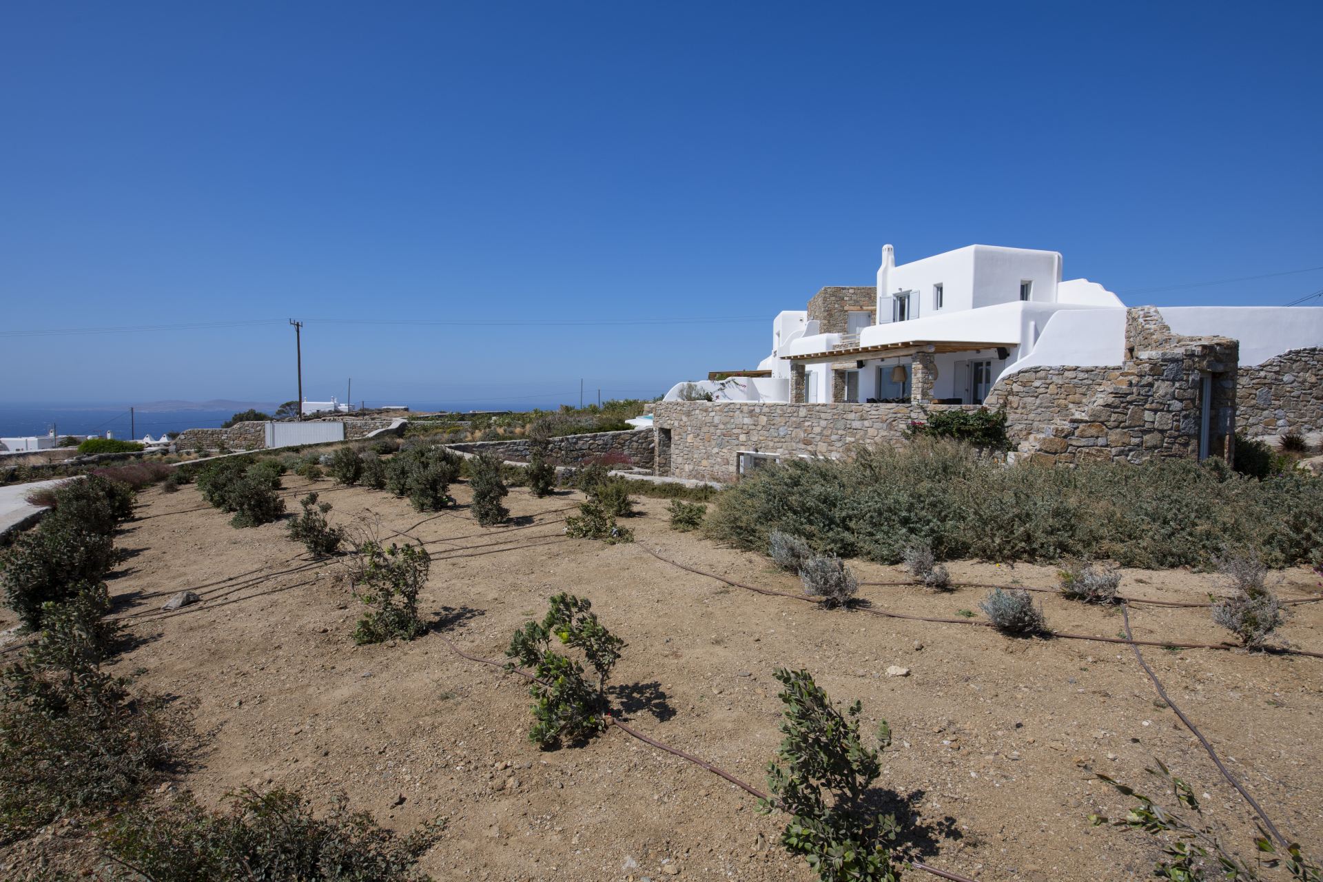 Villa Paloma