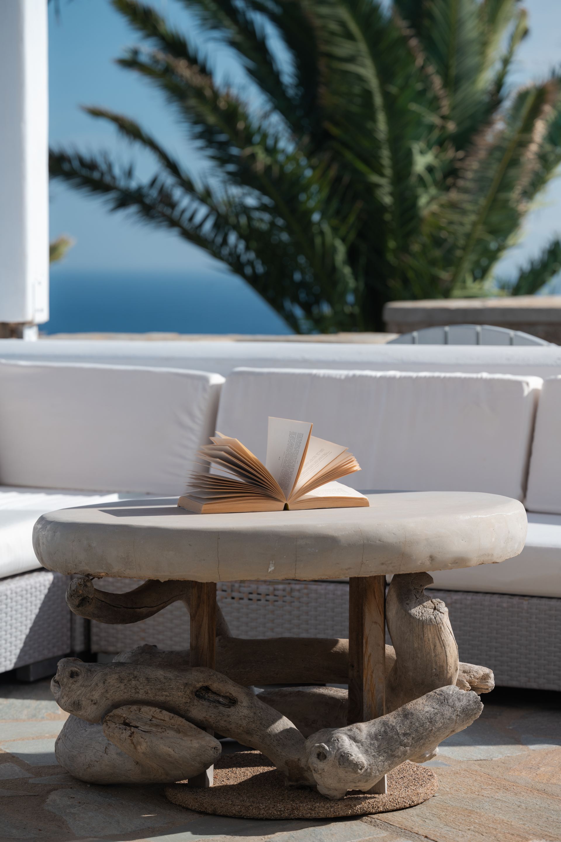 Villa Odyssey