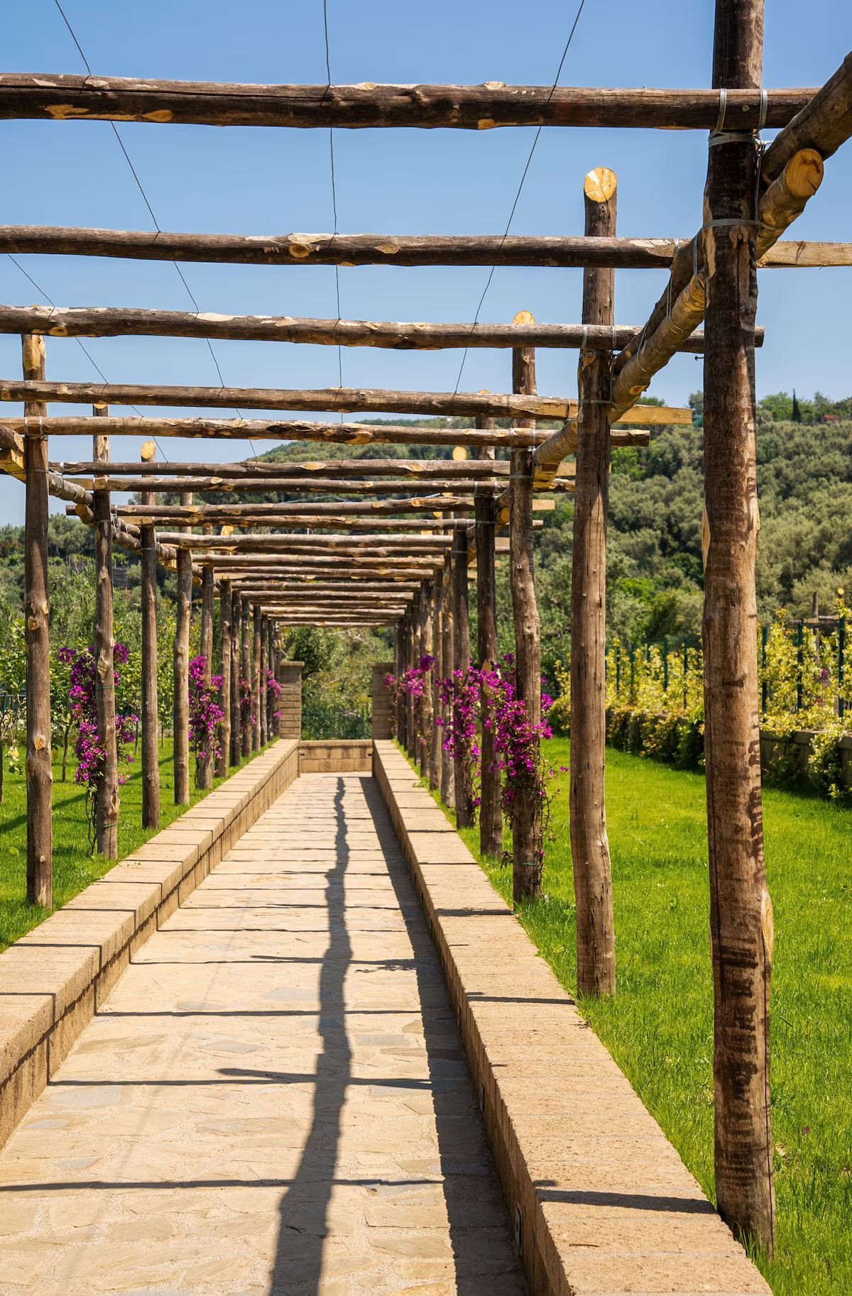 Villa Antea