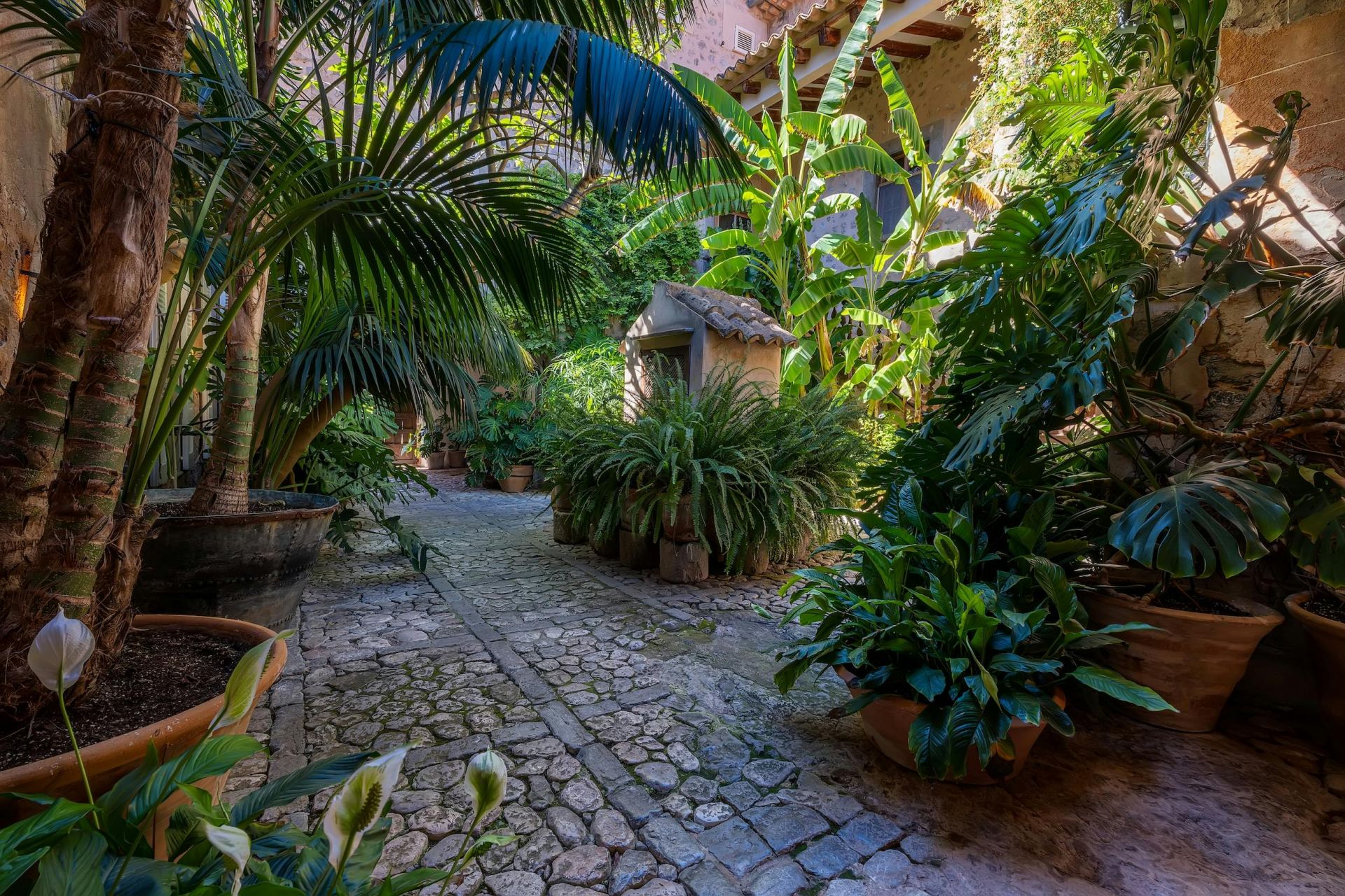Finca De Casa De Campo