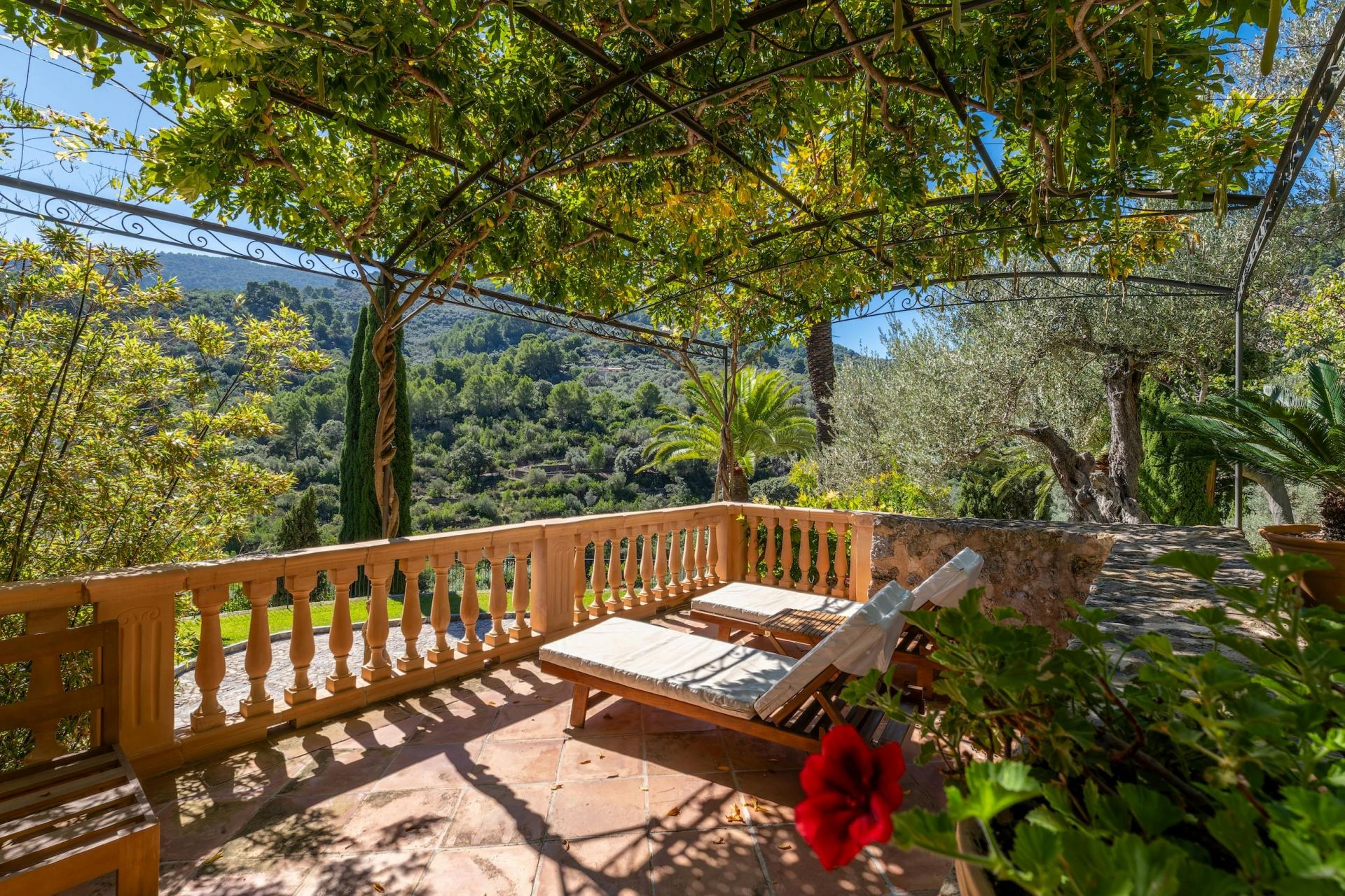 Finca De Casa De Campo